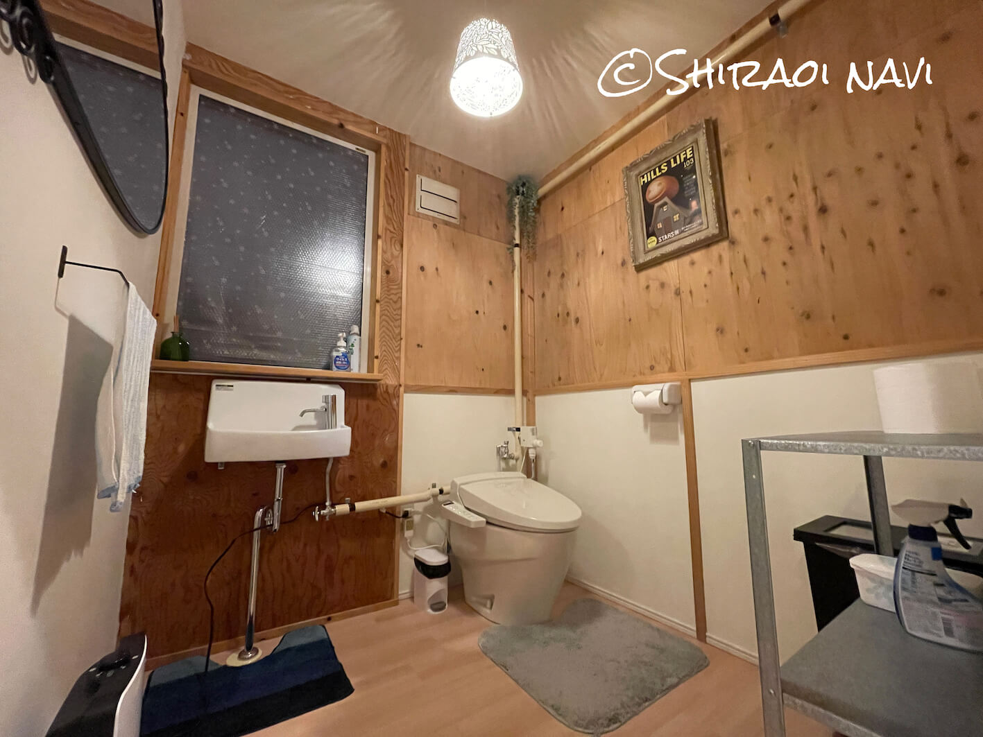 北海道白老町の温泉一軒家貸切民泊47ハウスのトイレ