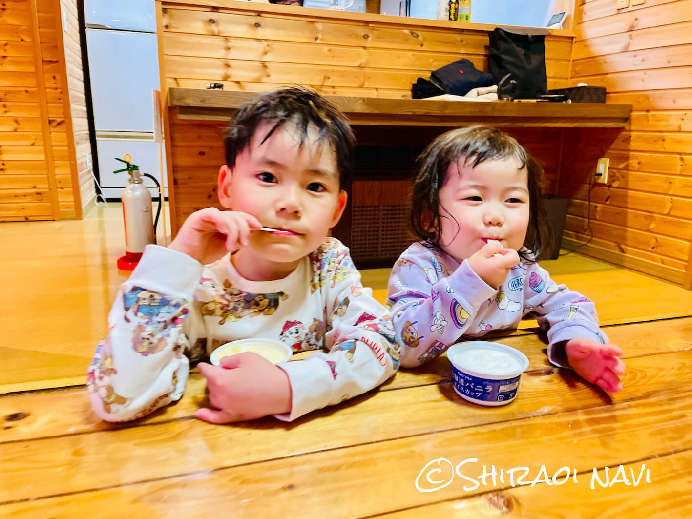 北海道白老町の貸別荘『Villa信』源泉掛け流しの貸切宿でアイスクリームを食べたよ