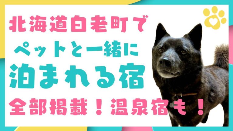 北海道白老町の『ペットと一緒に泊まれる宿』まとめ