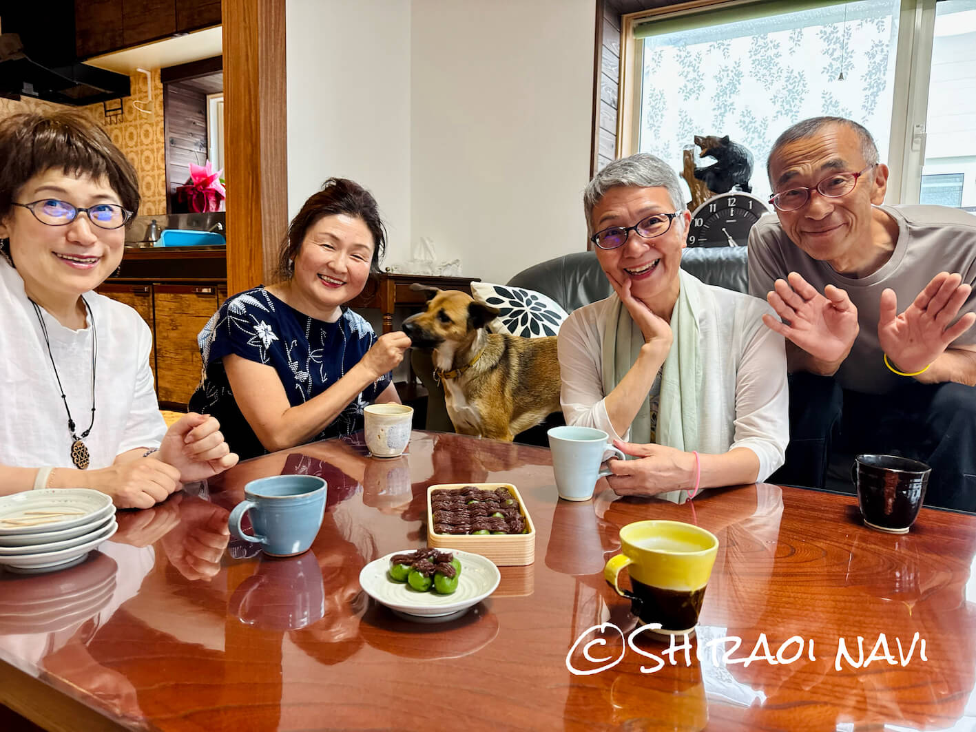 「貸別荘栖(すみか)」源泉かけ流しの温泉と広いドッグラン付きの宿をご紹介します!