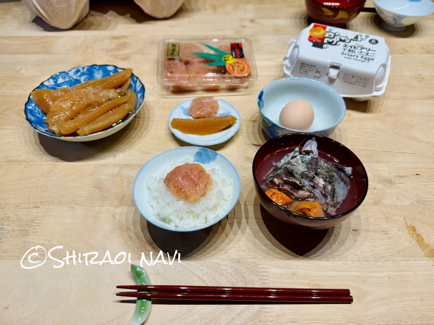 「貸別荘栖(すみか)」源泉かけ流しの温泉と広いドッグラン付きの宿をご紹介します!