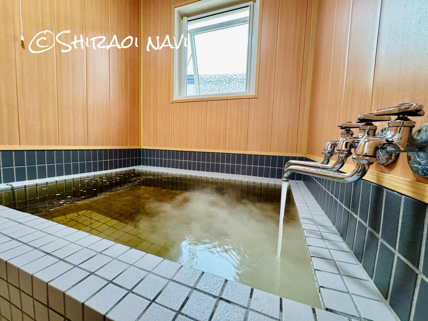 「貸別荘栖(すみか)」源泉かけ流しの温泉と広いドッグラン付きの宿をご紹介します!