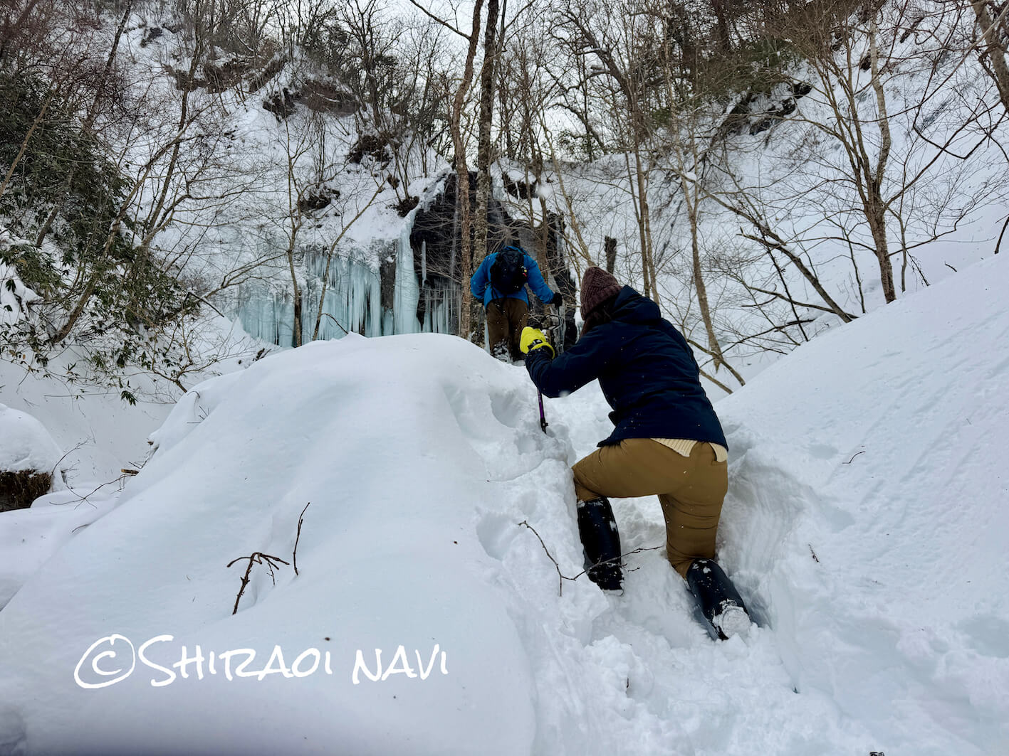 徳寿ファーム『氷瀑ツアー』北海道白老町の激推し冬アクティビティ！