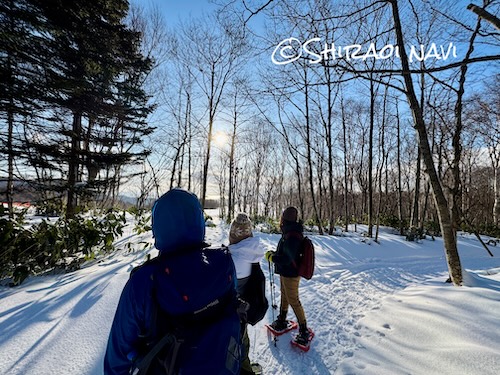 ダンパラスキー場横をスノーシューで進む室蘭岳冬登山の様子