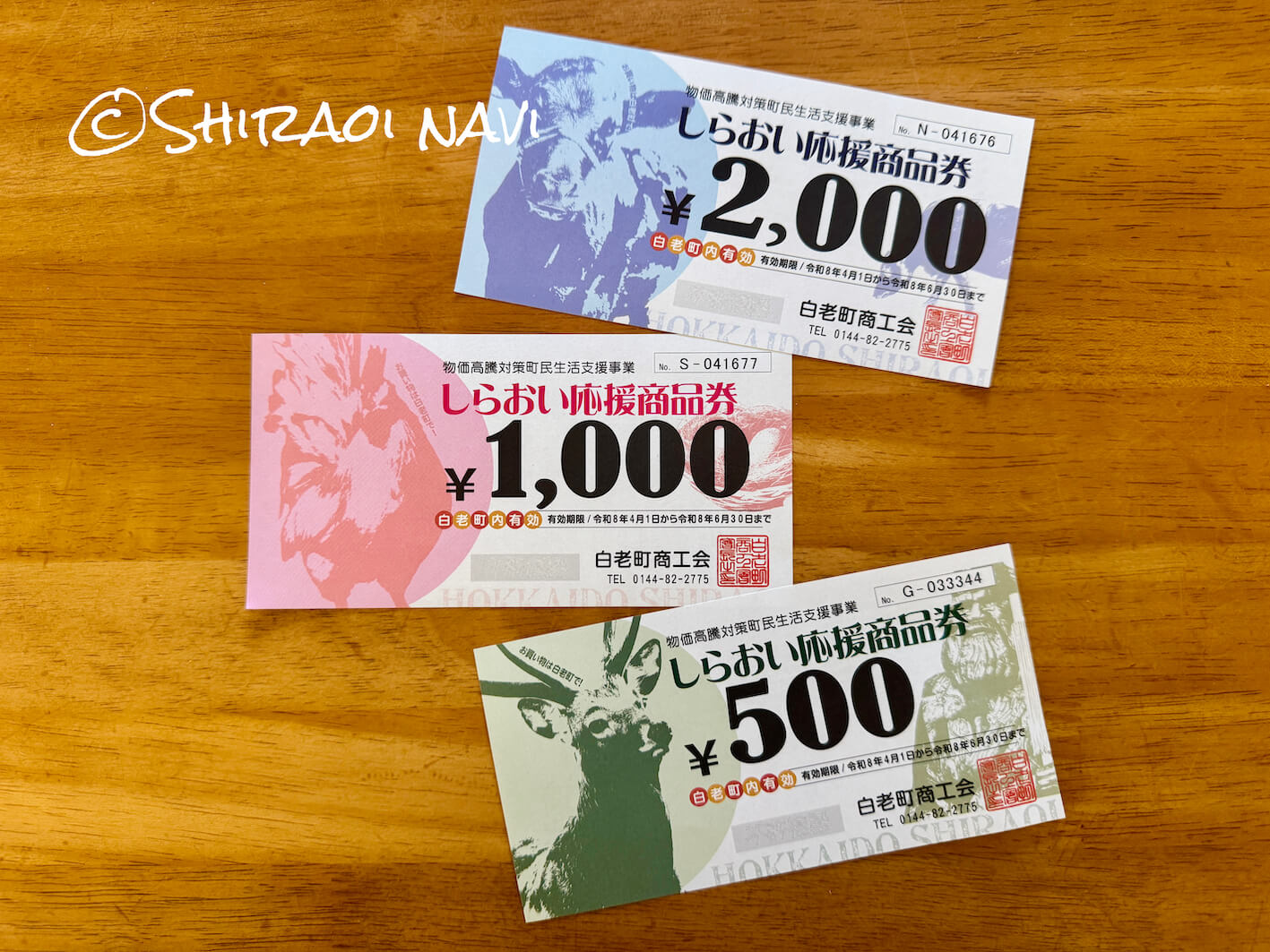 白老町しらおい応援商品券2026のチラシ画像｜17,000円分の配布内容と利用期間4月1日〜6月30日