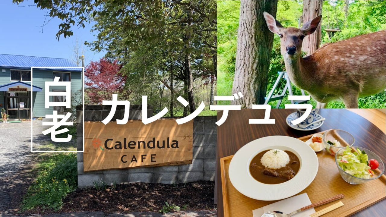 白老町のカフェ・カレンデュラの庭に鹿が現れる様子を捉えたサムネイル画像。森の中で野生動物と出会える癒しカフェの魅力を表現。